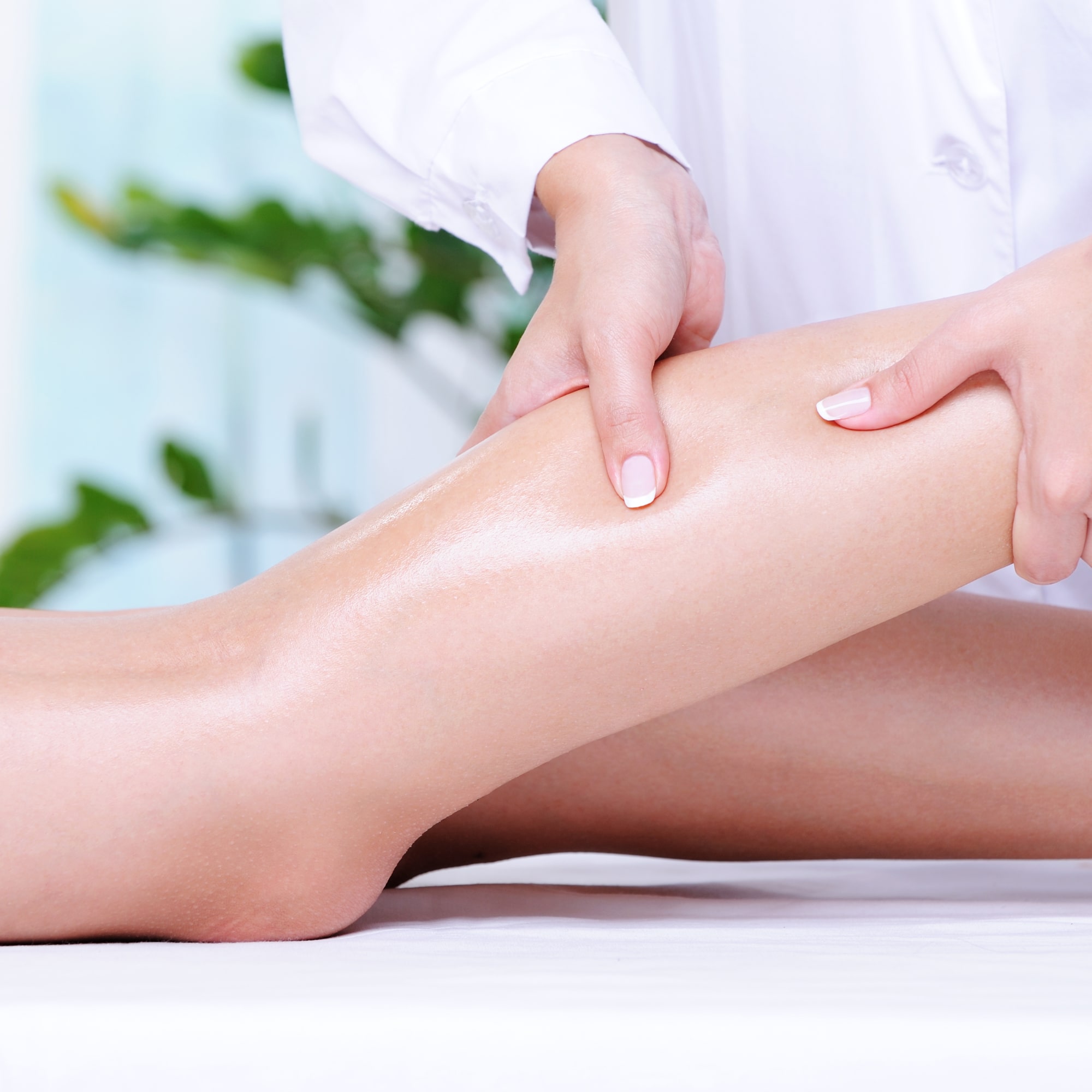 circulatorio_cuadrado-min